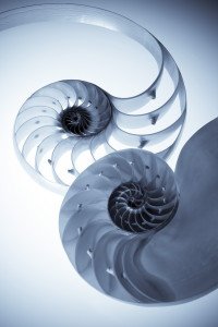 shutterstock_26502922