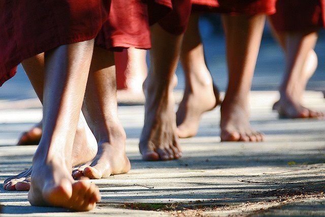 Dancing Feet - Open Floor International