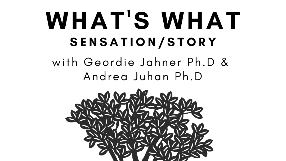 what's what v2 9.16 Riding The Waves, Libido, with Andrea Juhan Ph.D